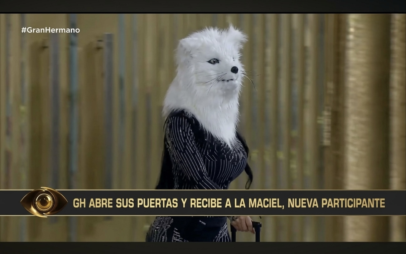 Gran Hermano 2026: ingresó la primera “therian” y revolucionó la casa