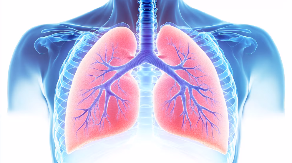 Alerta por virus sincicial respiratorio: advierten sobre el riesgo en bebés y llaman a reforzar la prevención