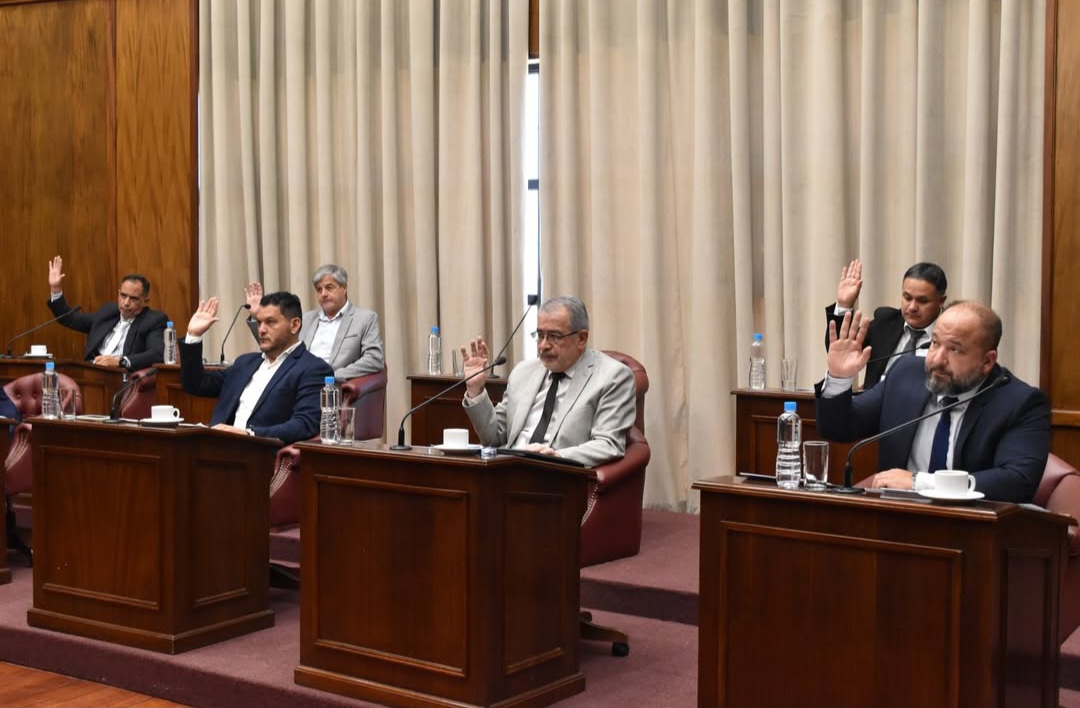 SAN LUIS: EL SENADO DEFINIÓ SUS COMISIONES PARA EL PERÍODO LEGISLATIVO 2026