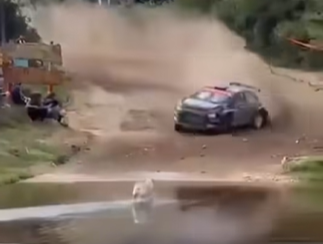 UN PERRO EVITÓ SER ATROPELLADO DURANTE UNA ETAPA DEL RALLY SUDAMERICANO