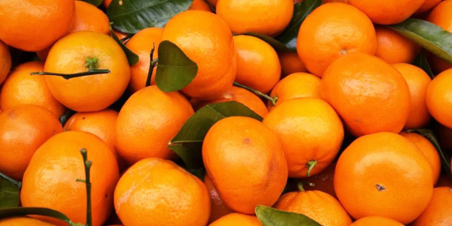 Llega la Fiesta Nacional de la Mandarina con entrada libre y gratuita