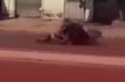 ¡DE LA MANIJA AL SUELO! Estrenó una moto cero kilómetro y se pegó un tremendo golpe en la primera esquina