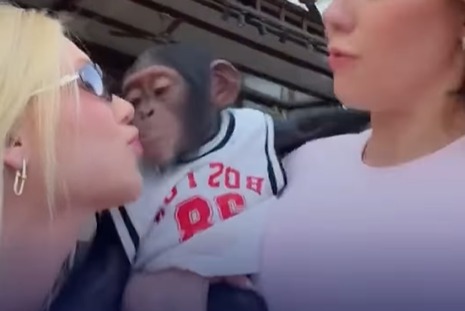 ¡INDIGNANTE! LA EX DE VINÍCIUS JÚNIOR RECIBIÓ UNA OLA DE CRÍTICAS POR BESAR A UN CHIMPANCÉ
