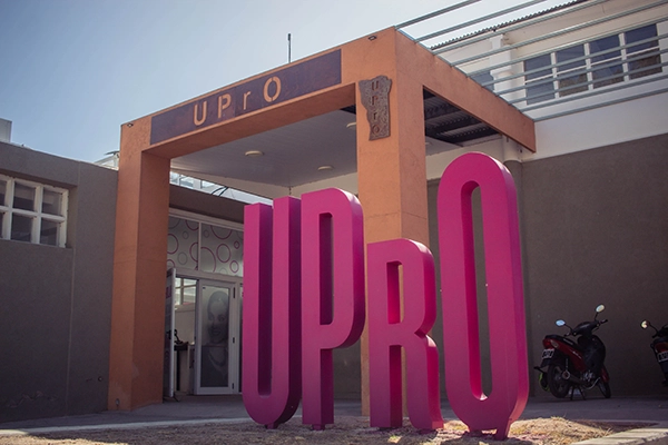 La UPrO lanzará una diplomatura en Apicultura en tres sedes provinciales