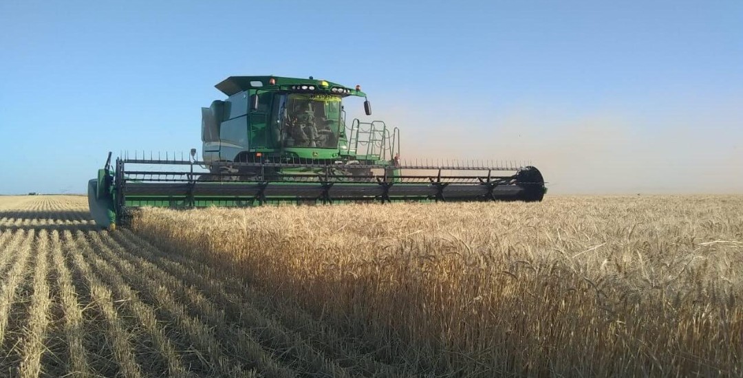 Milei anunció baja de retenciones al campo y la industria