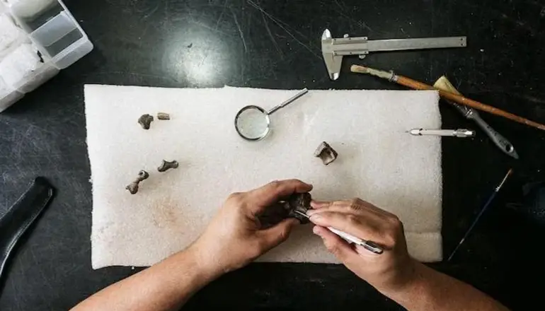 Histórico: hallan una nueva especie de dinosaurio raptor en Santa Cruz