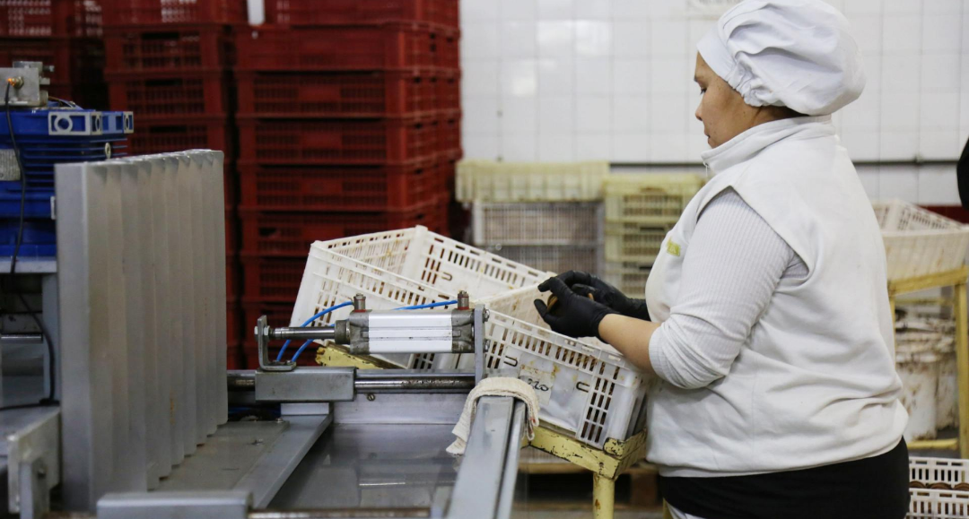 Reforma laboral: el nuevo fondo para indemnizaciones comenzará a regir el 1 de noviembre