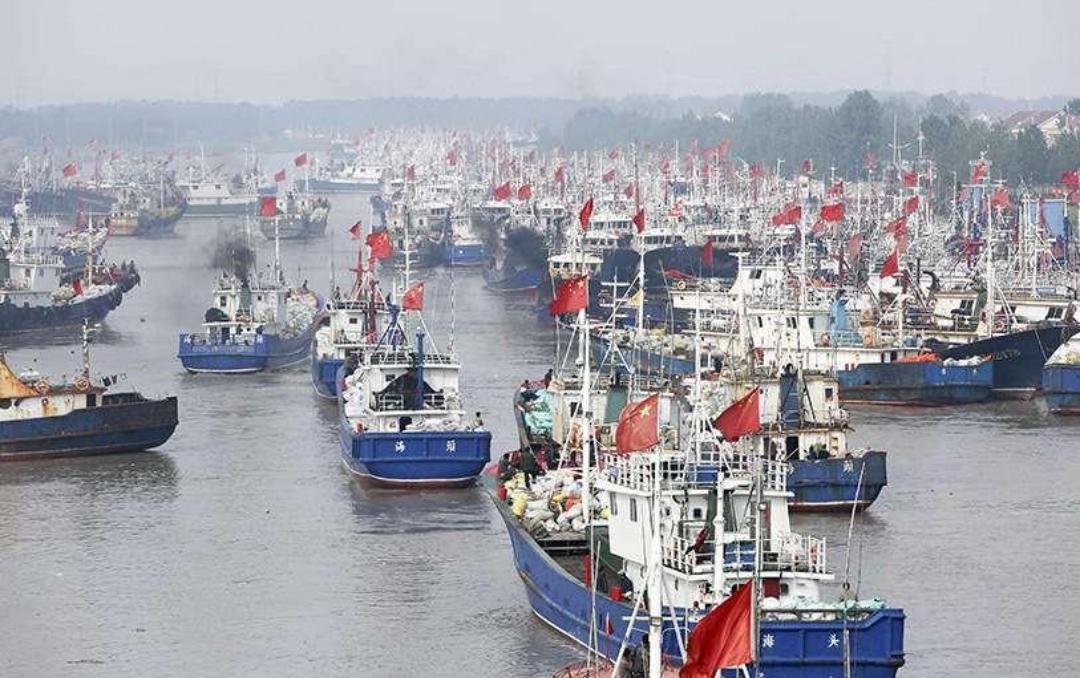 ALERTA EN EL MAR ARGENTINO: 600 BARCOS EXTRANJEROS PESCAN HASTA 4 VECES MÁS QUE LA FLOTA NACIONAL