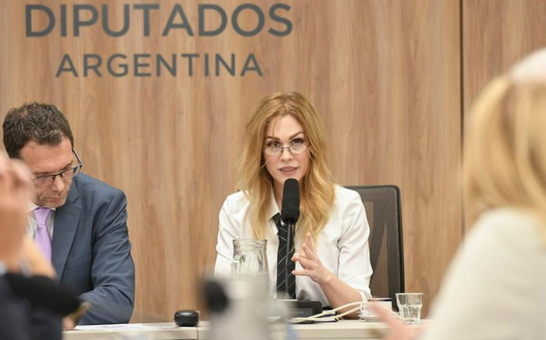 Lemoine defendió a Milei y habló de la ciencia argentina