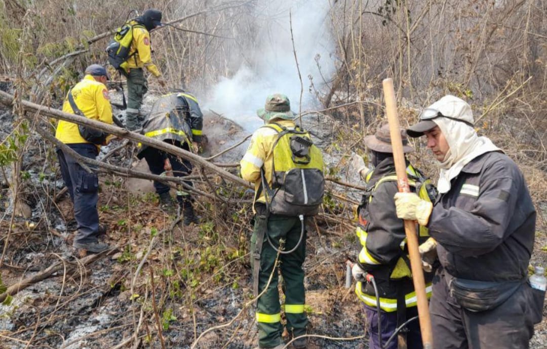 Cafayate en alerta: los fuertes vientos reavivaron los incendios forestales