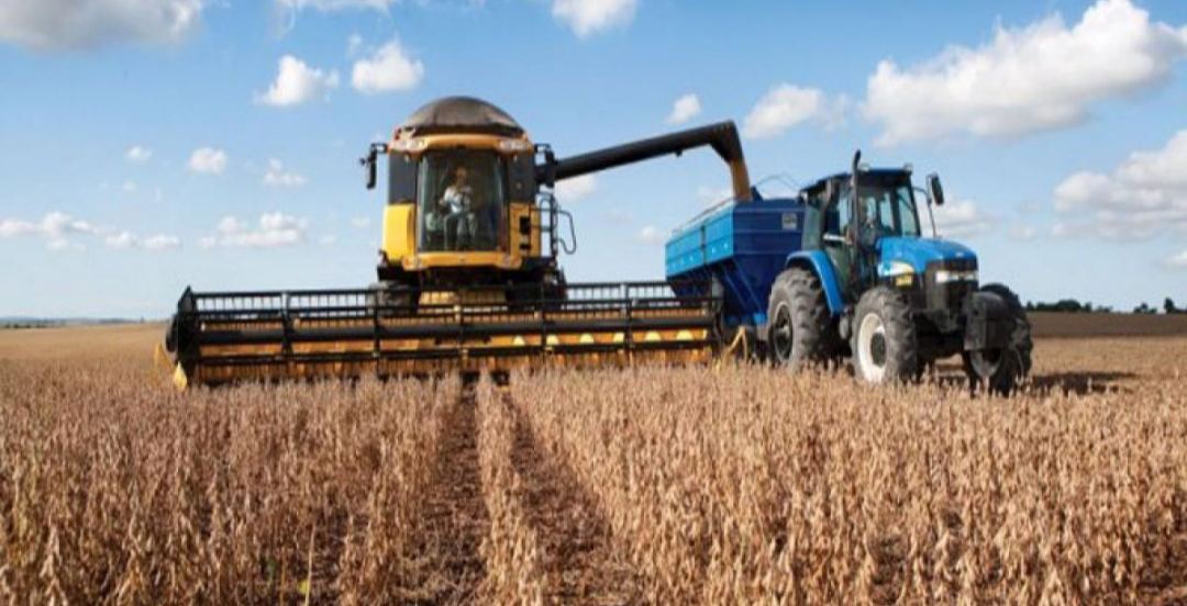 DE CADA $100 QUE GENERA UNA HECTÁREA AGRÍCOLA, $58,20 VAN A IMPUESTOS