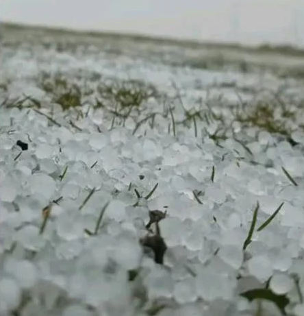 Sorpresa blanca en la Villa de Merlo: una intensa caída de granizo cubrió el Filo de las Sierras